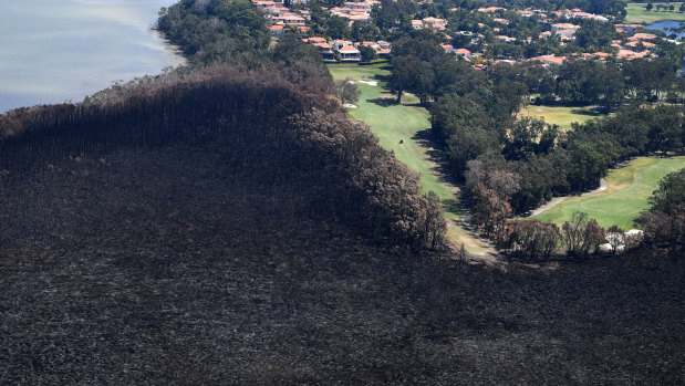 Golfers are seen on the green next to a bushfire-damaged area in Peregian Springs.