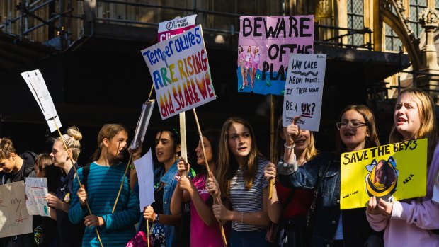 Students join the global strike for climate action in London on Friday.