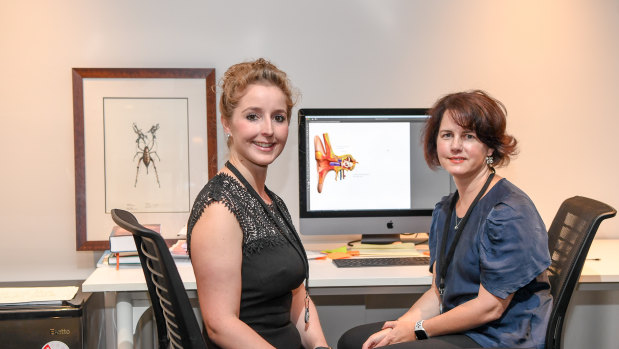 Liz Williams and Kate Lomas, co-founders of Hemideina. The start-up is named after the scientific term for the Wellington tree weta insect. 