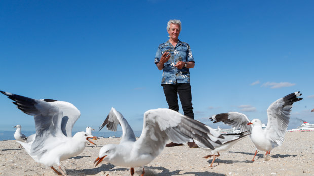 Wildlife management consultant Ian Temby says the silver gull has increased in numbers thanks to rubbish tips.