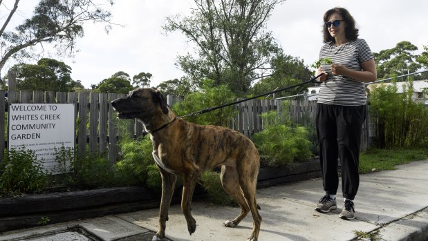 Dog owner Natalie with Chloe at the western edge of Whites Creek Valley park.