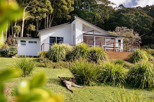 Ushka’s house sits between the bush and the beach.