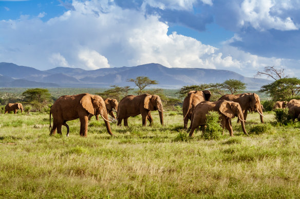 The landscape is not spectacular on this road, but the wildlife viewing is.