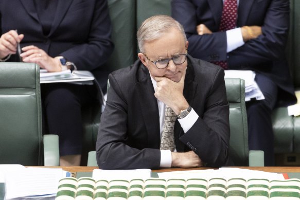 Prime Minister Anthony Albanese in question time last week.