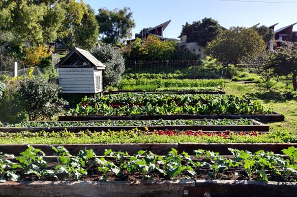 CERES in Melbourne’s East Brunswick: During lockdown, people looked towards local producers and growing their own food to alleviate their fears of food insecurity.