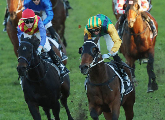 Easy Eddie, right, can bounce back to his best in the Christmas Classic.