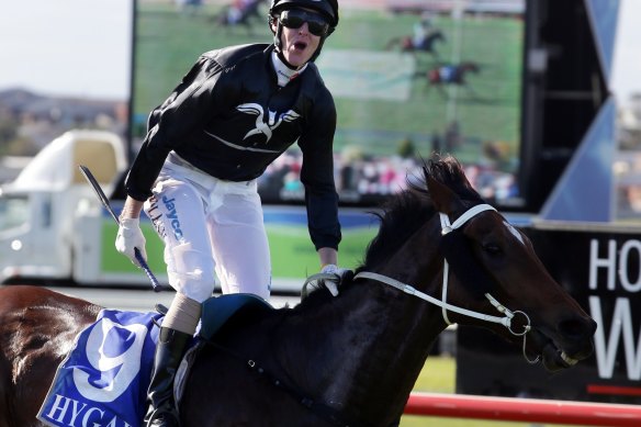 Winners are grinners: Cats Fun's biggest victory was the 2013 Brierly in Warrnambool. He was ridden that day by Jarrod McLean's brother Brad.