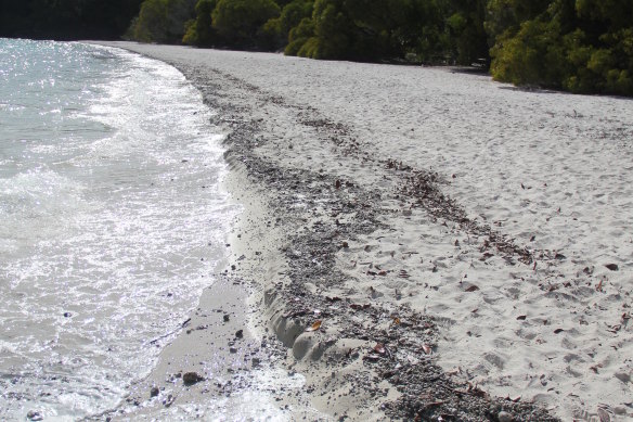 Pumice washed up on beaches in Queensland in 2013 following the 2012 eruption of the Havre Seamount volcano, the largest of its kind in 50 years.