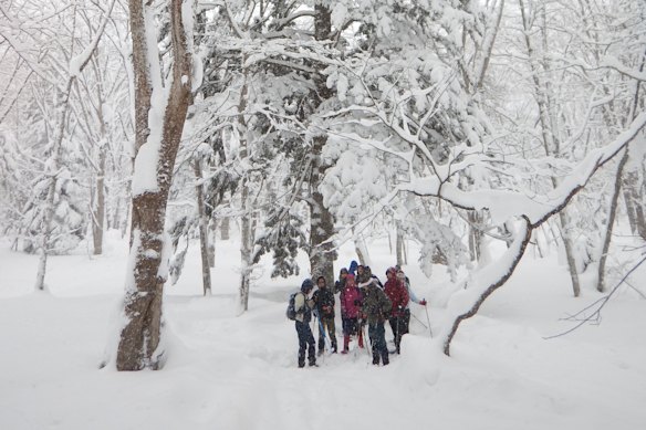 Snowshoeing the fields and forests of Kagami-Ike Togakushi.