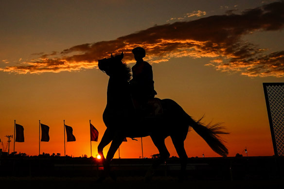 Picture perfect: Zaaki during Breakfast With The Best at Moonee Valley.