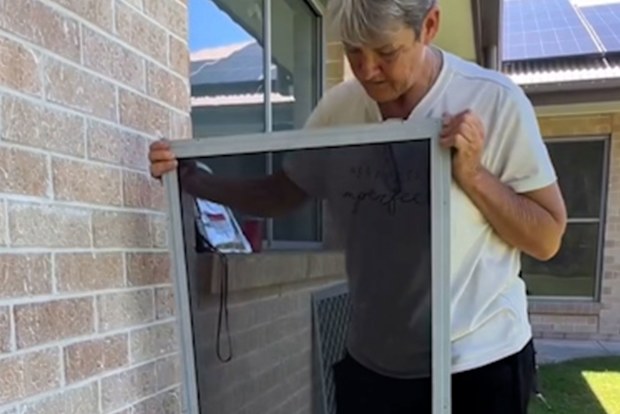 Mould expert tests a fly screen for mould.