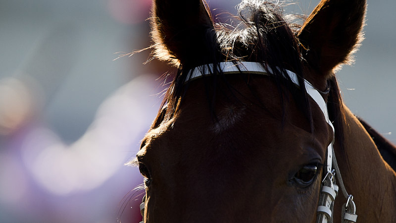 Tips and race-by-race preview for Dubbo on Monday