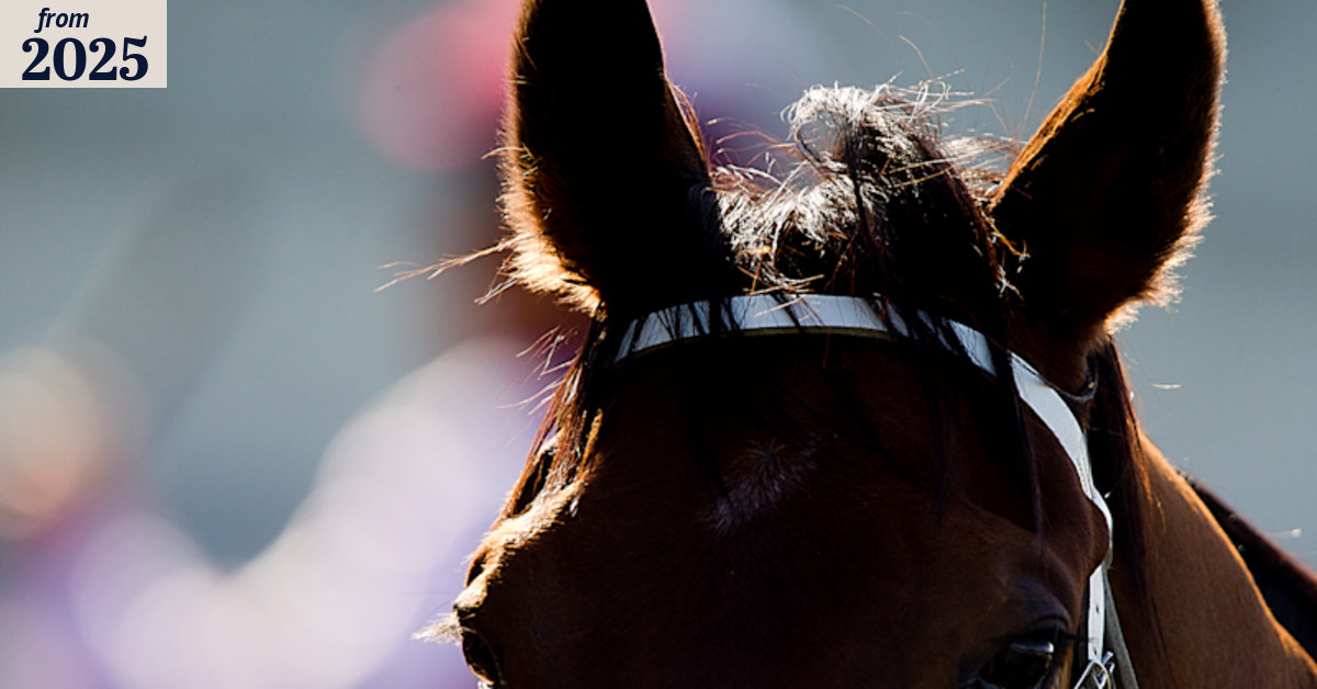 Race-by-race tips and preview for Moruya on Sunday
