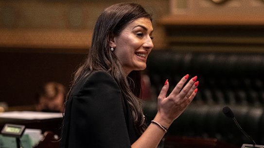 Former fair trading minister Eleni Petinos.