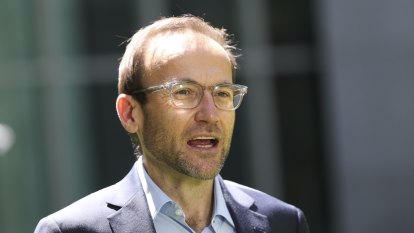 ‘Up for shifting’: Greens seek guarantee 43 per cent emissions reduction target is a floor