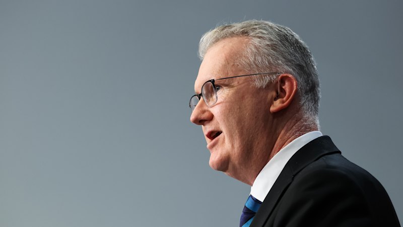 Labor's Immigration Overhaul Targets Visa Overstayers, Student Family Visas — image 1