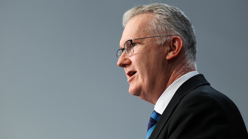 Albanese leadership group overrides cabinet on migration package