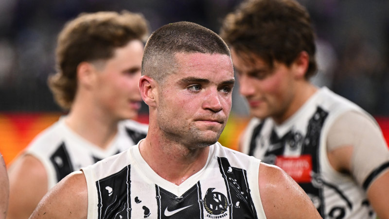 ‘Not allowed to do that’: AFL’s call on controversial free kick that stunned the Pies
