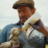 Hugh Jackman as George Hardy in The Sheep Detectives.