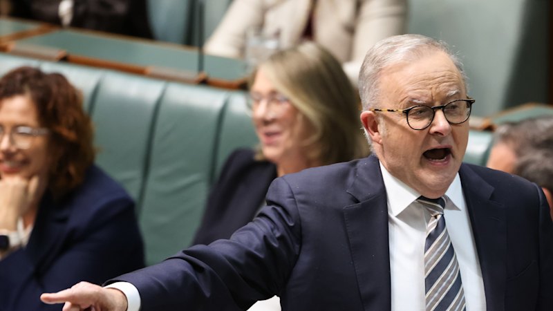 Opposition parties unite to seek documents over Albanese “melon-gate” podcast comments