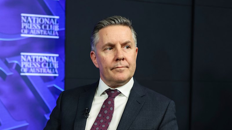 Diagnosis to play little part in new eligibility assessment, Mark Butler says