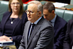 Prime Minister Anthony Albanese during Question Time.