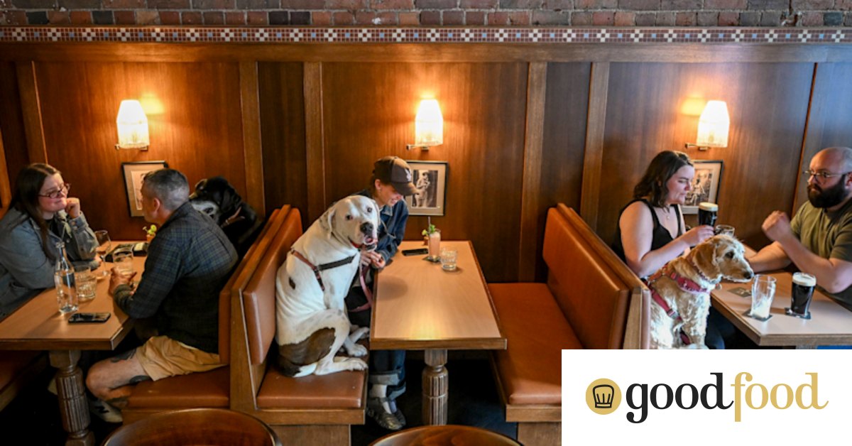 Is this Melbourne’s most dog-friendly bar? Pendant has an old soul and new tricks