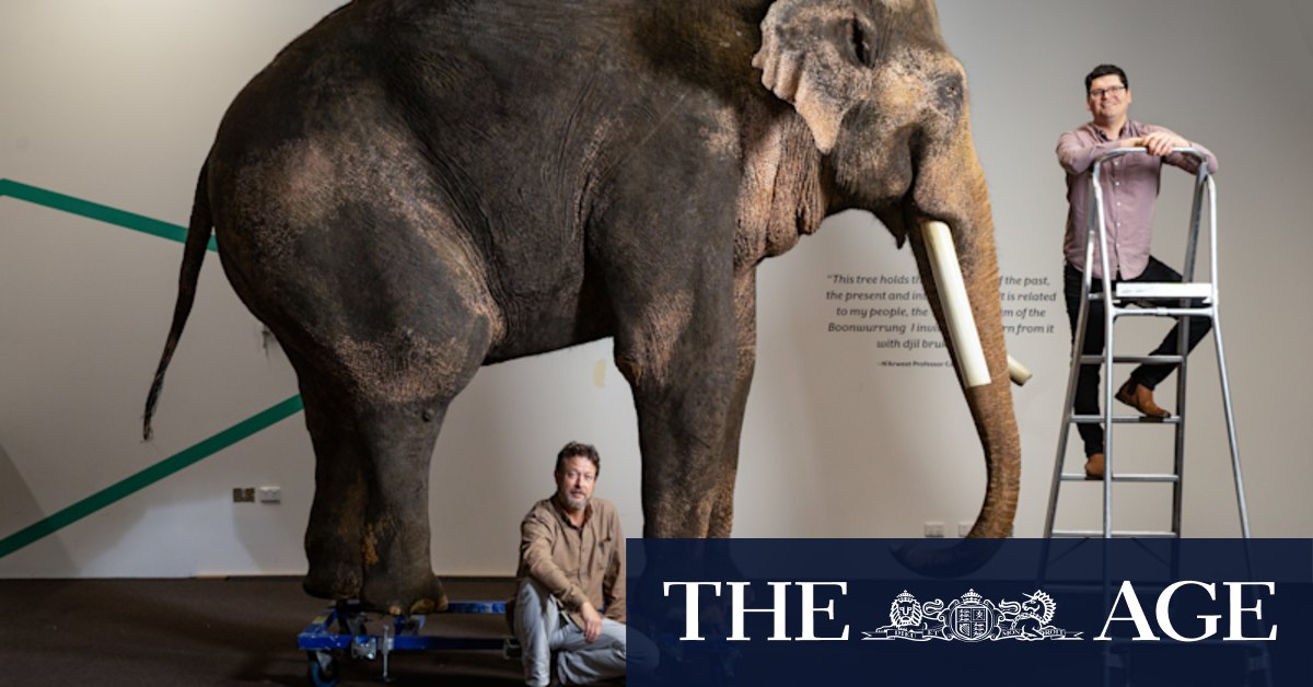 Catchy Week in Focus: Highlighting September 27, 2025, in The Age’s Prominent Images