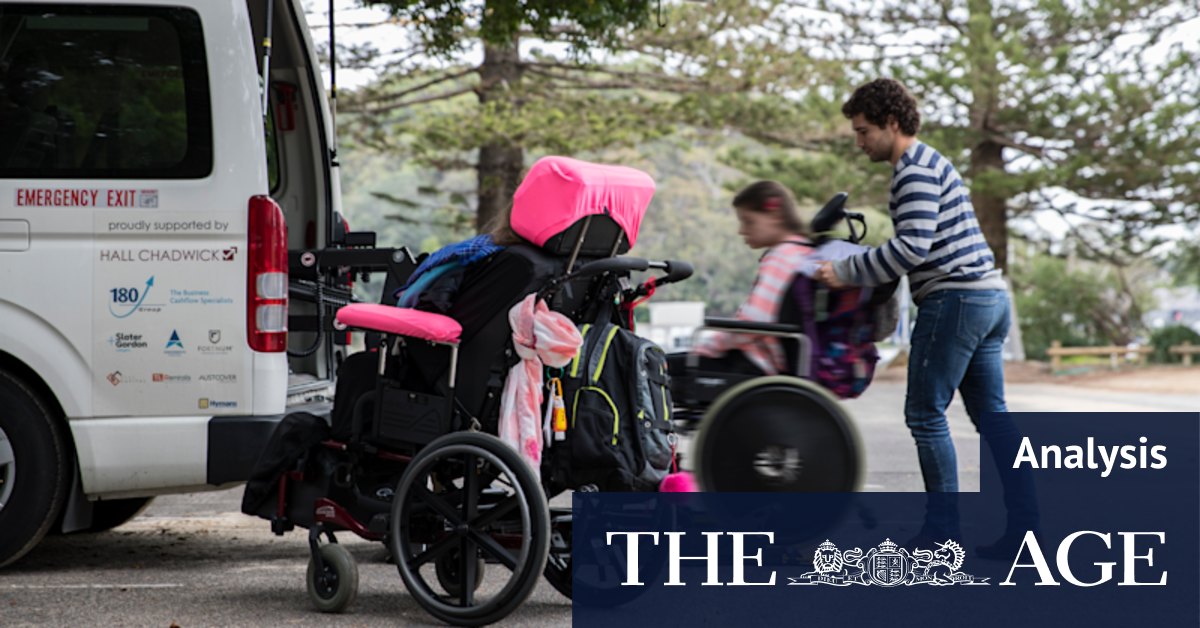 NDIS review raises a difficult question for Bill Shorten: what happens to children on the scheme now? - Vimarsana News