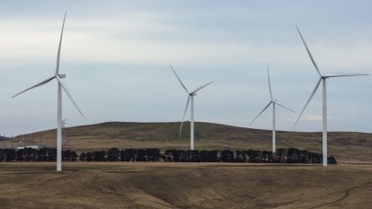Renewable energy drives fall in Australia’s carbon pollution