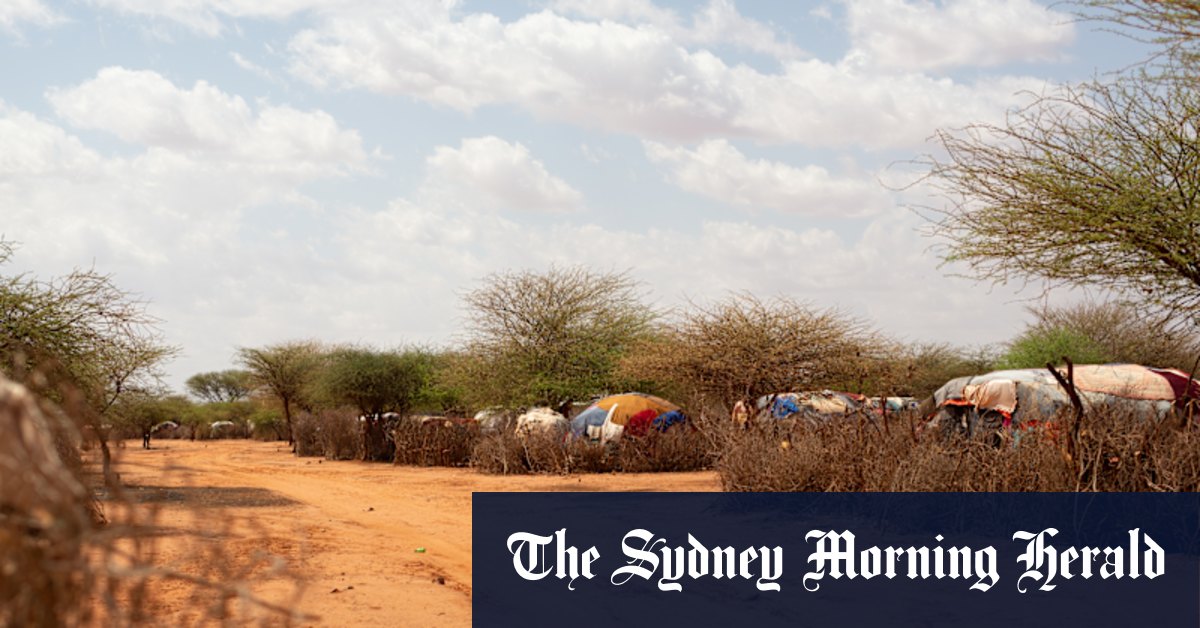 Horn of Africa famine 2022: UN World Food Programme urges action now to save lives - Vimarsana News