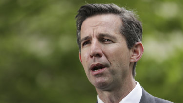 Tourism Minister Simon Birmingham says China travel ban will have a "significant impact" but Australia's tourism industry is resilient.