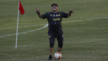 Diego Maradona S New Mexican Club In The Heart Of The Sinaloa Cartel
