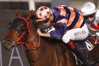 Brutality will sport blinkers again in the Festival Stakes.
