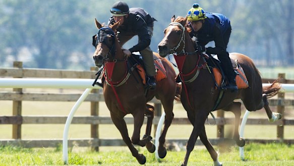 Practice at the Fernhill Estate racetrack in 2013.