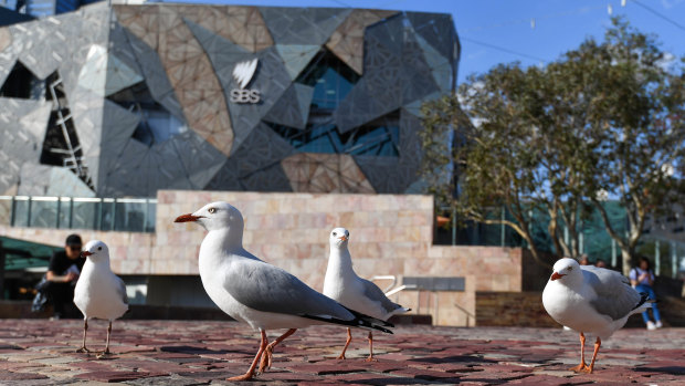 Planning Minister Richard Wynne says Federation Square is "pretty sad" if you visit outside the weekend.