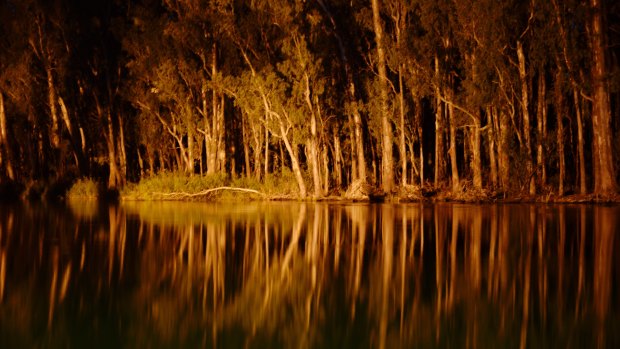 Changes to the Murray-Darling Basin will be put to a vote in the Senate.