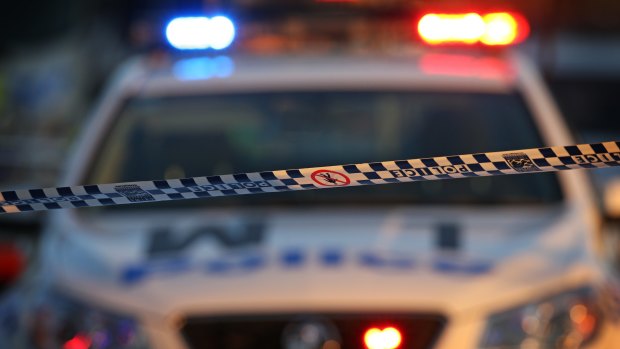 Police have established a strike force to catch the alleged perpetrators of a brutal attack in Jindabyne.