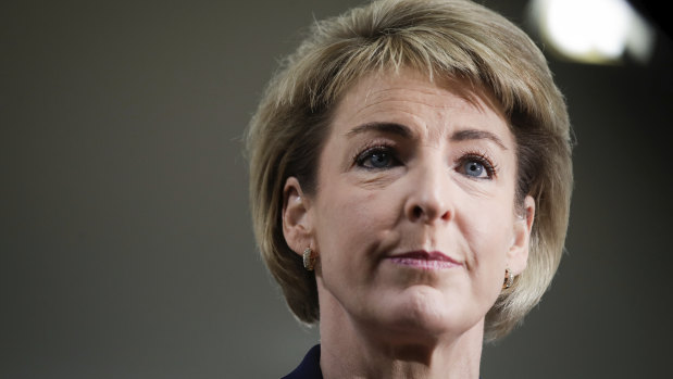 Small business minister Michaelia Cash said the government was working "methodically" to deliver reform to the franchising sector while avoiding unnecessary red tape.