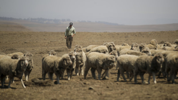 The Morrison government will commit more funds to drought assistance.