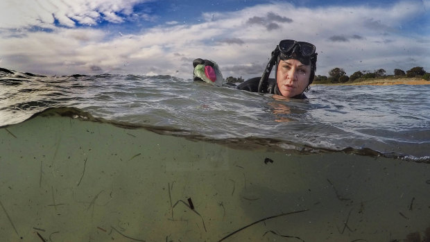 Josie Jones in the water at Rye beach.