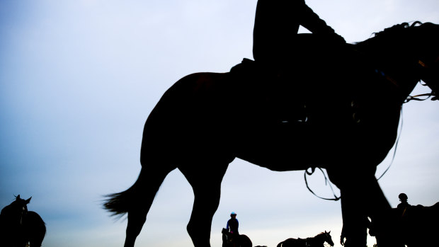 Wagga Wagga trainer Trevor Sutherland has been banned for three years over an animal welfare charge.