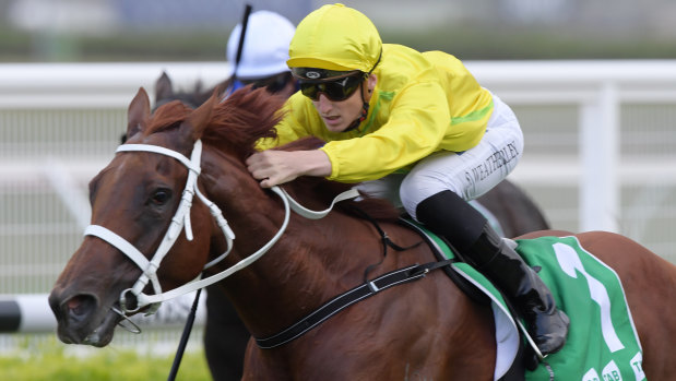 Leading role: A change of tactics paid off for Sweet Scandal and Sam Weatherley at Randwick.