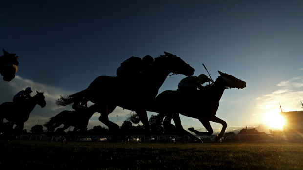 A seven-race card at Albury will kick off the week.