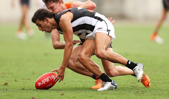 Nick Daicos could steal the Rising Star award from Jason Horne-Francis.