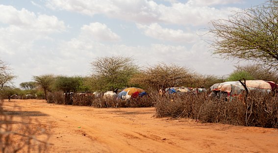 A camp for internally displaced people at Khaatumo in Somaliland.
