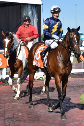Tofane and Mark Zahra return to scale after the win.  