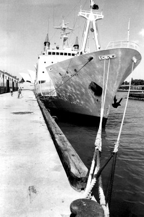 Aftermath ... The Japanese ship Kaiyo Maru after it berthed at Circular Quay.
