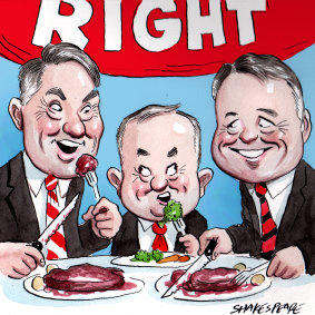 Anthony Albanese, Richard Marles and Joel Fitzgibbon. Illustration: John Shakespeare