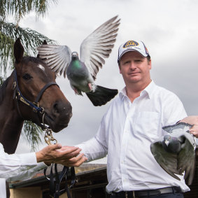 Gary Portelli combines thoroughbred and pigeon racing.